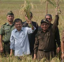 Pemerintah Siap Bagi-bagi Bibit ke Petani Senilai Rp 1,4 T